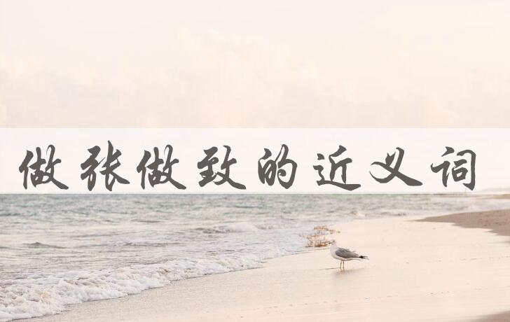 用做张做致造句