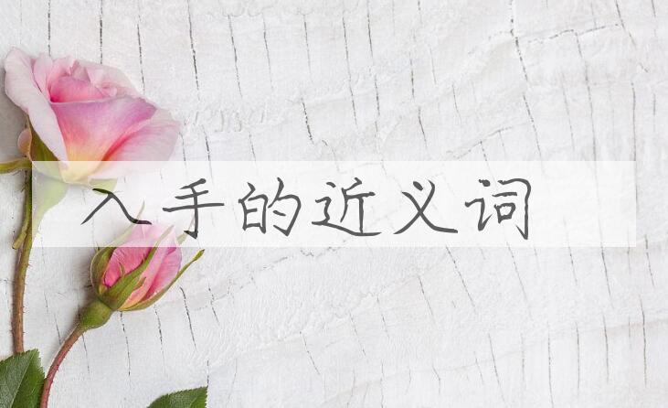 用入手造句