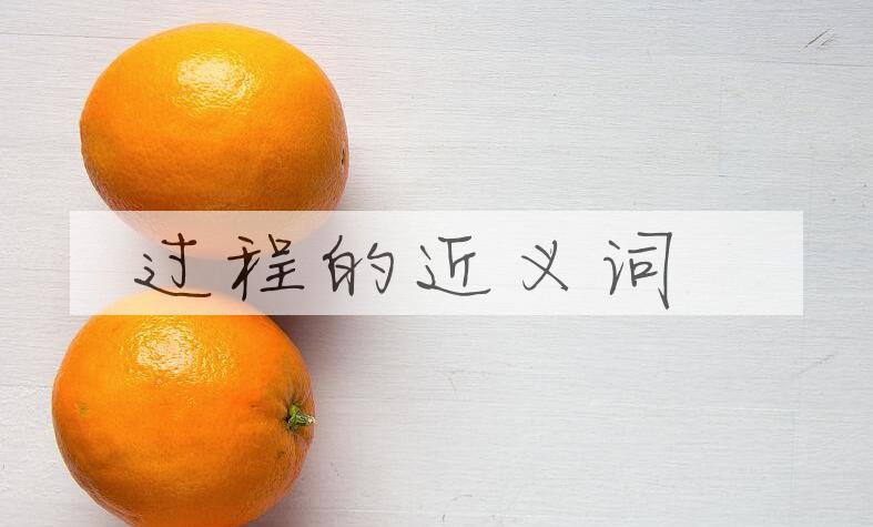 用过程造句