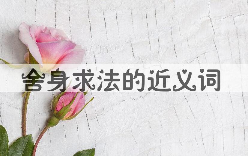 用舍身求法造句