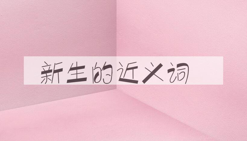 用新生造句