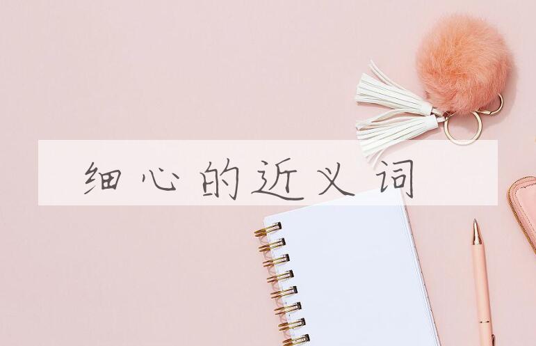 用细心造句