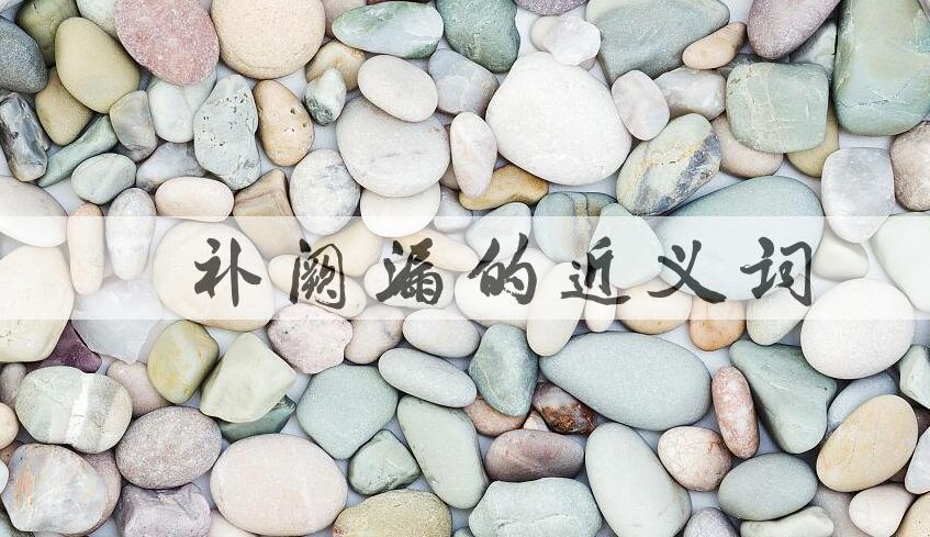 用裨补阙漏造句