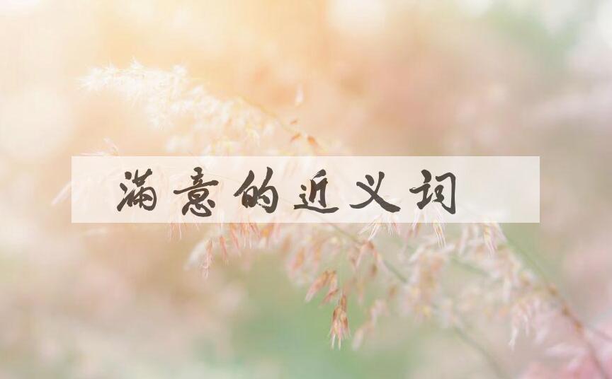 用满意造句