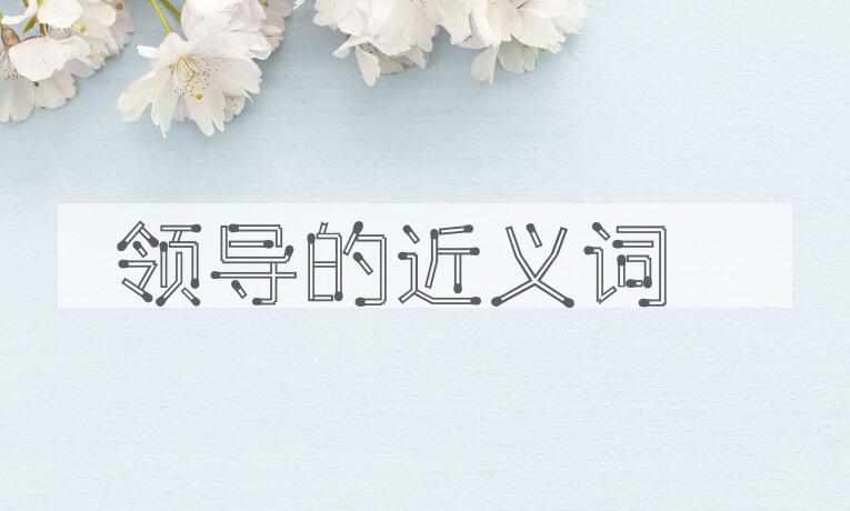 用领导造句
