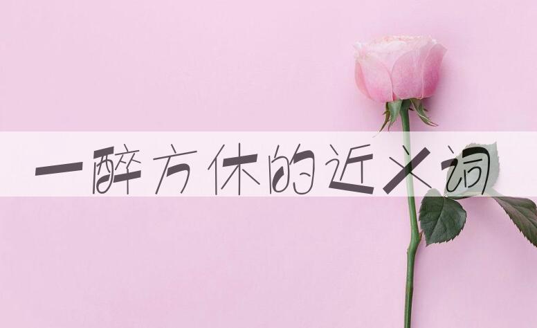 用一醉方休造句