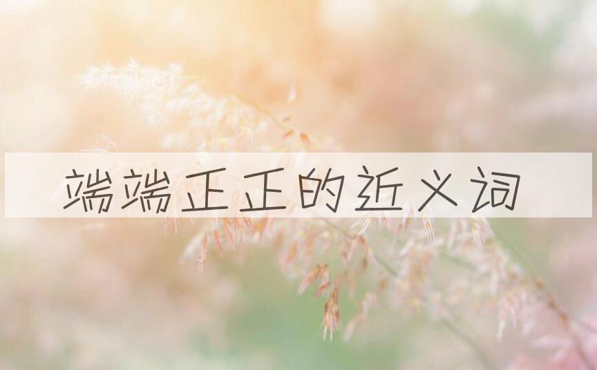 用端端正正造句