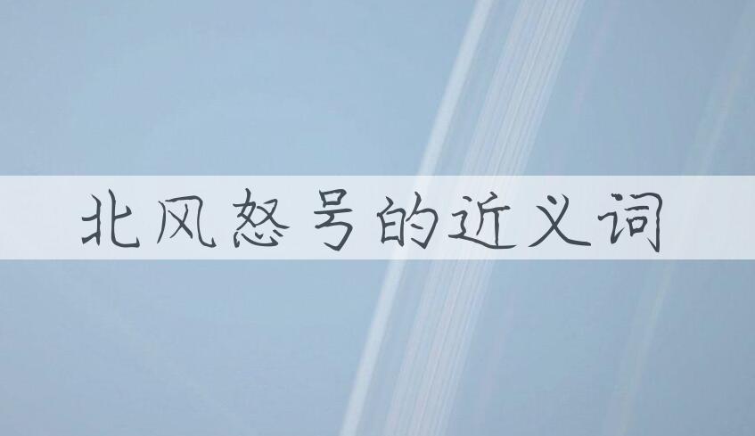 用北风怒号造句