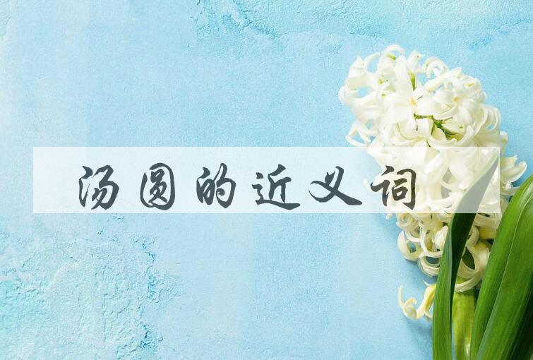 用汤圆造句