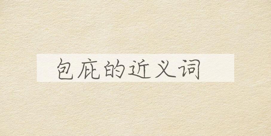 用包庇造句