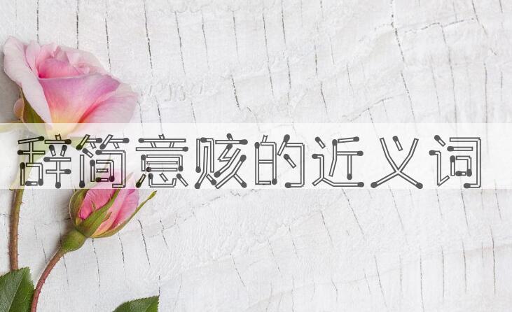 用辞简意赅造句