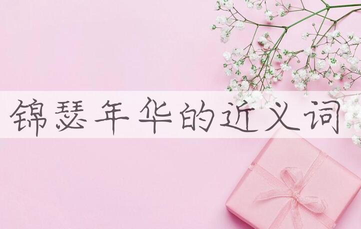 用锦瑟年华造句