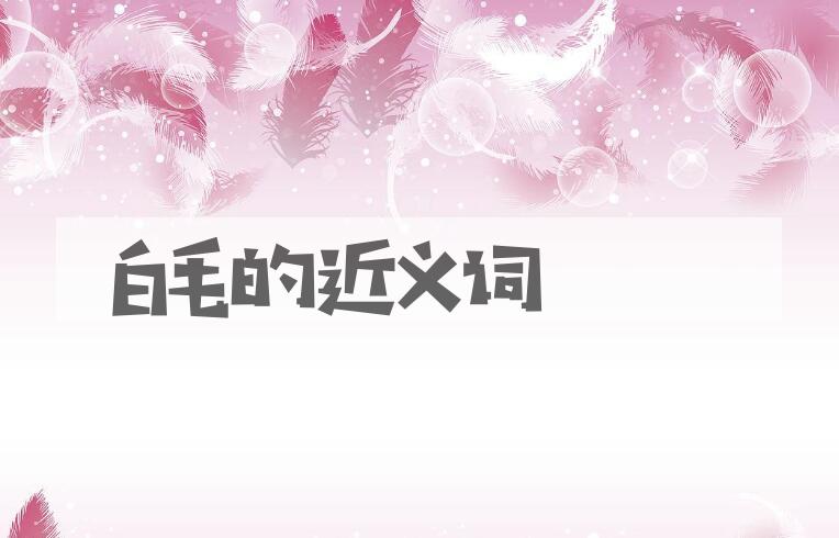 用白毛造句