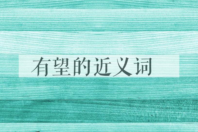 用有望造句