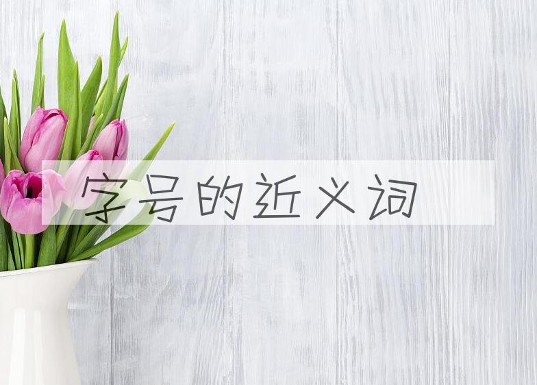 用字号造句