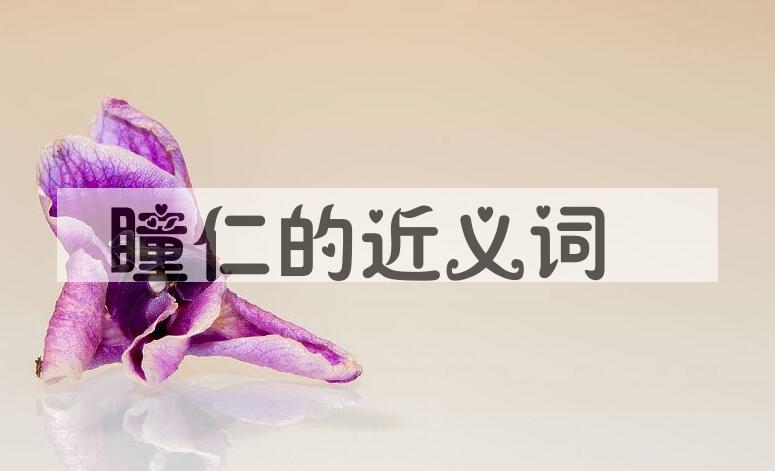 用瞳仁造句