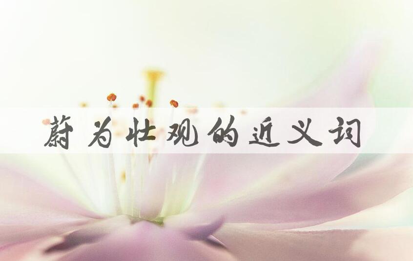 用蔚为壮观造句