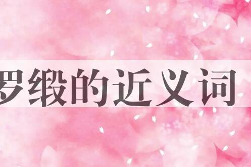 用罗缎造句