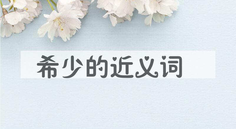 用希少造句
