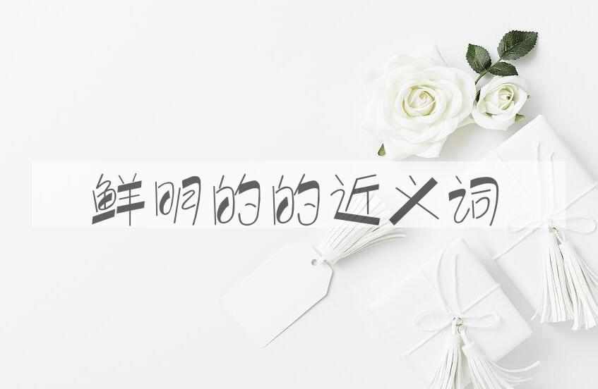 用鲜明的造句