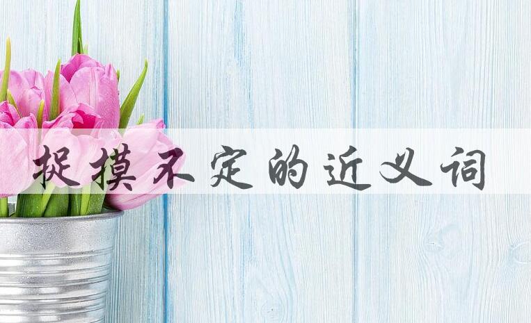 用捉摸不定造句