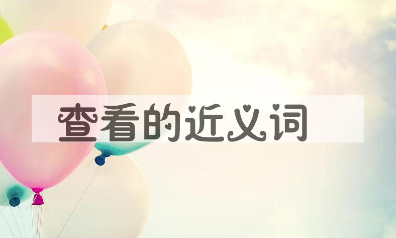 用查看造句