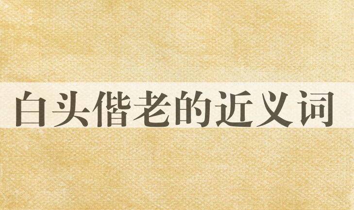 用白头偕老造句