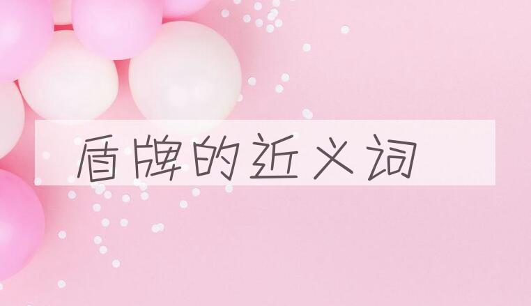 用盾牌造句