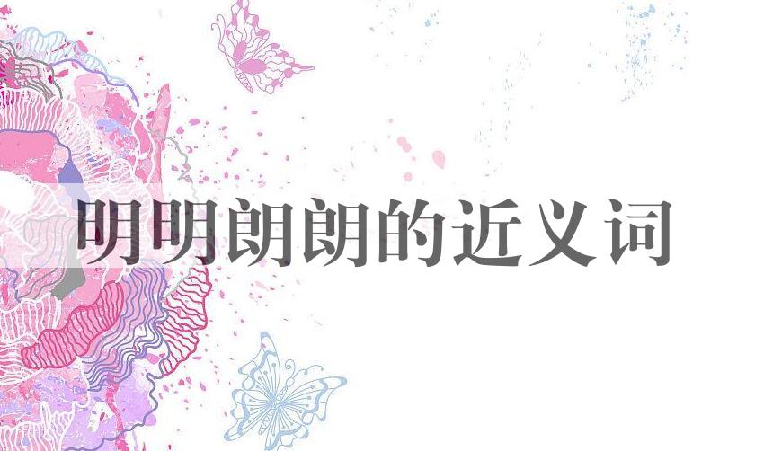 用明明朗朗造句