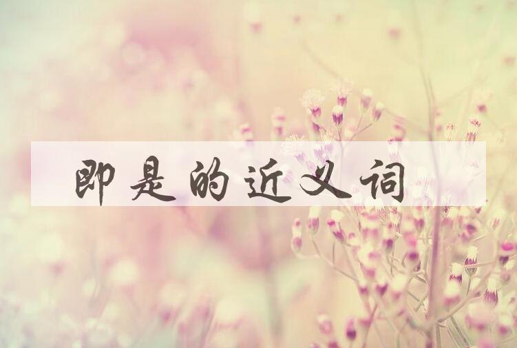 用即是造句