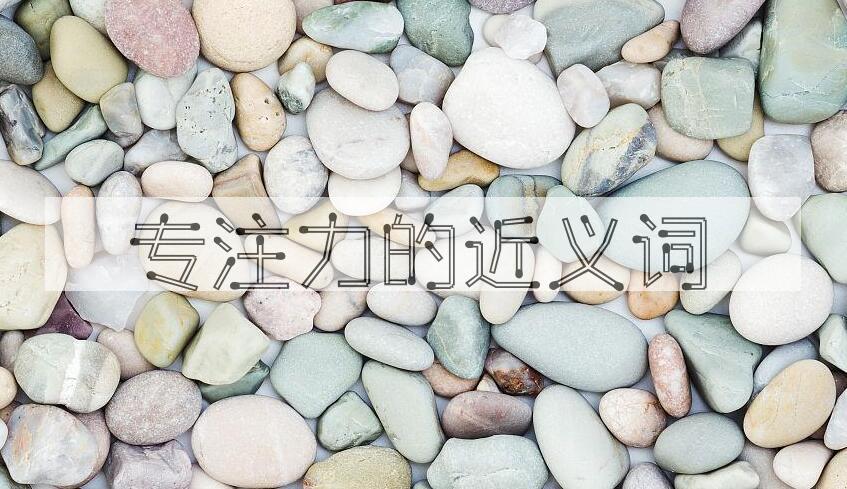 用专注力造句