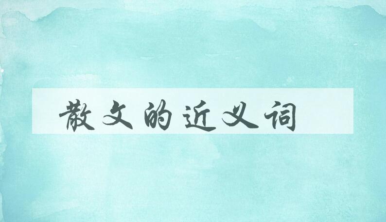用散文造句