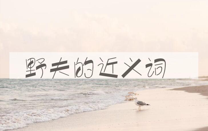 用野夫造句