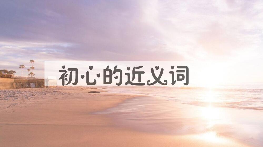 用初心造句