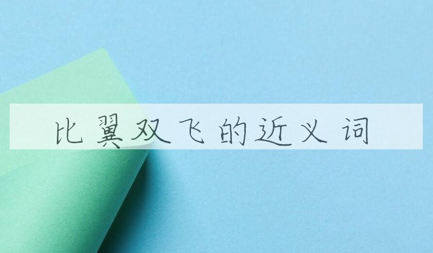 用比翼双飞造句