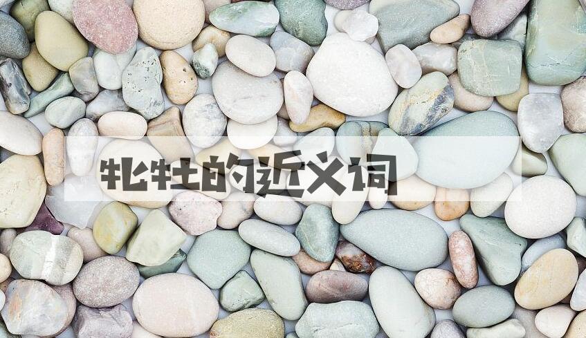 用牝牡造句