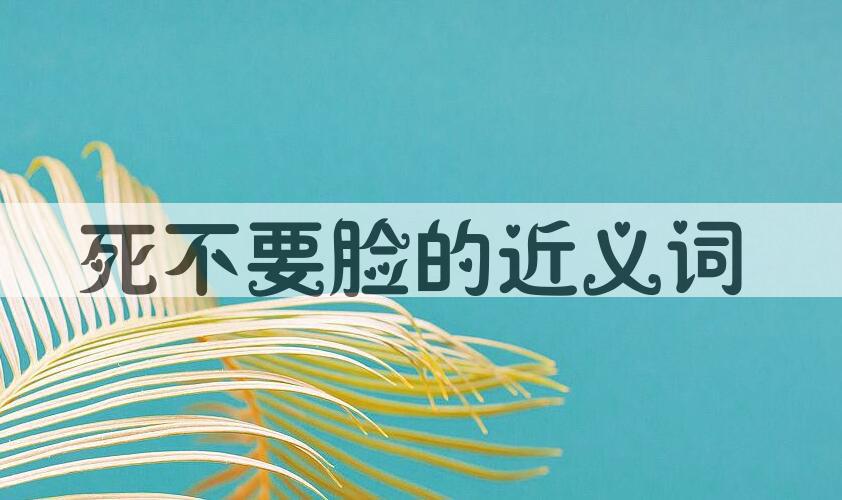 用死不要脸造句