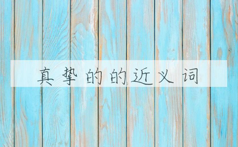 用真挚的造句