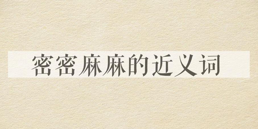 用密密麻麻造句
