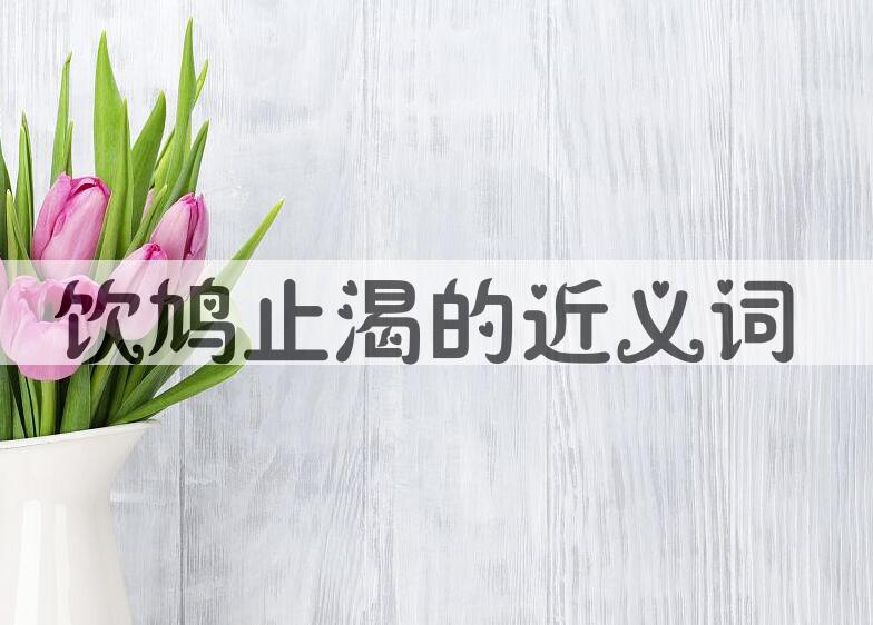 用饮鸠止渴造句