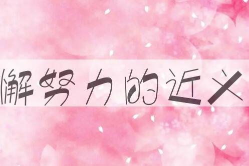 用不懈努力造句