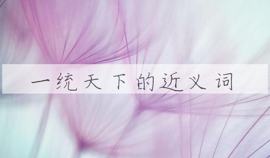 用一统天下造句