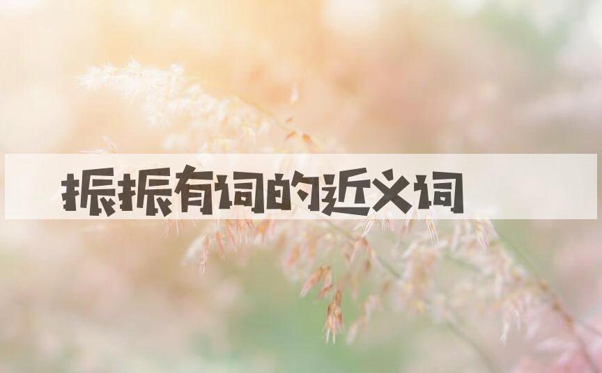 用振振有词造句