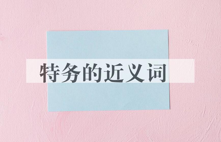 用特务造句