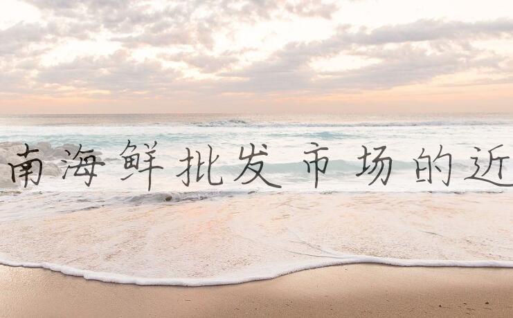 用武汉华南海鲜批发市场造句