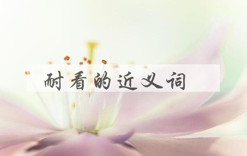 用耐看造句