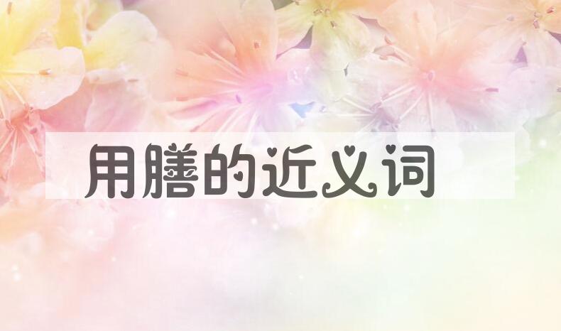 用用膳造句