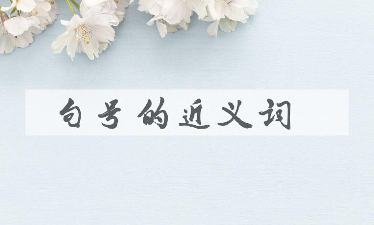 用句号造句