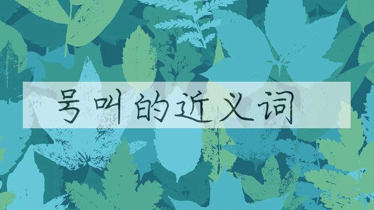 用号叫造句