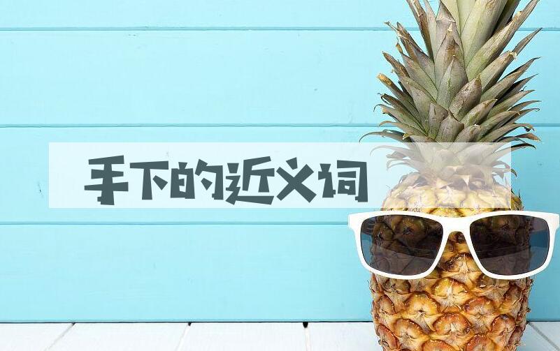 用手下造句